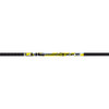 Carbon Express D-Stroyer Arrows 400 6 pk.
