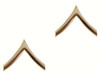 Rothco Private Insignia