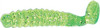 CB CRAPPIE GRUB 1.5" PUMPKINBLK/CHT