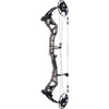 Bear Surpass Bow DNA/Black 70 lbs. RH