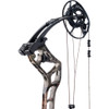 Bear Surpass Bow DNA/Black 70 lbs. RH