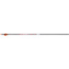 Victory VForce Sport Arrows 250 2 in. Vanes 6 pk.