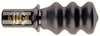 SCOLDERQUAKER BOY SQUIRREL CALL 