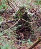 OBSESSION NWTF S/M PANTS/TOPTITAN LEAFY SUIT MOSSY OAK 