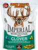 CLOVER 1/4 ACRE 2LB SPRNG/FALLWHITETAIL INSTITUTE IMPERIAL 