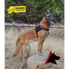 Alpha Duty Harness