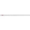 Victory RIP Sport Arrows 500 2 in. Vanes 6 pk.