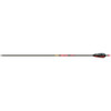 Gold Tip Hunter Arrows 400 4 in. Feathers 6 pk.