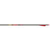 Gold Tip Hunter Arrows 500 4 in. Vanes 6 pk.