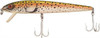 COR RED FIN 1-RAINBOW TROUT