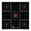 DIRTY BIRD 12'' SIGHT-IN TARGET 100 SHEET PACK