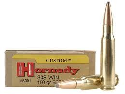 Vizards Guns and Ammo
