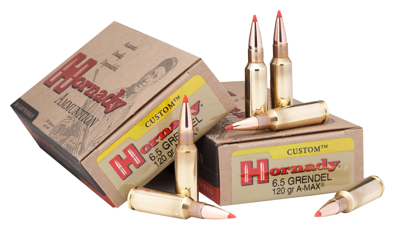 Vizards Guns and Ammo