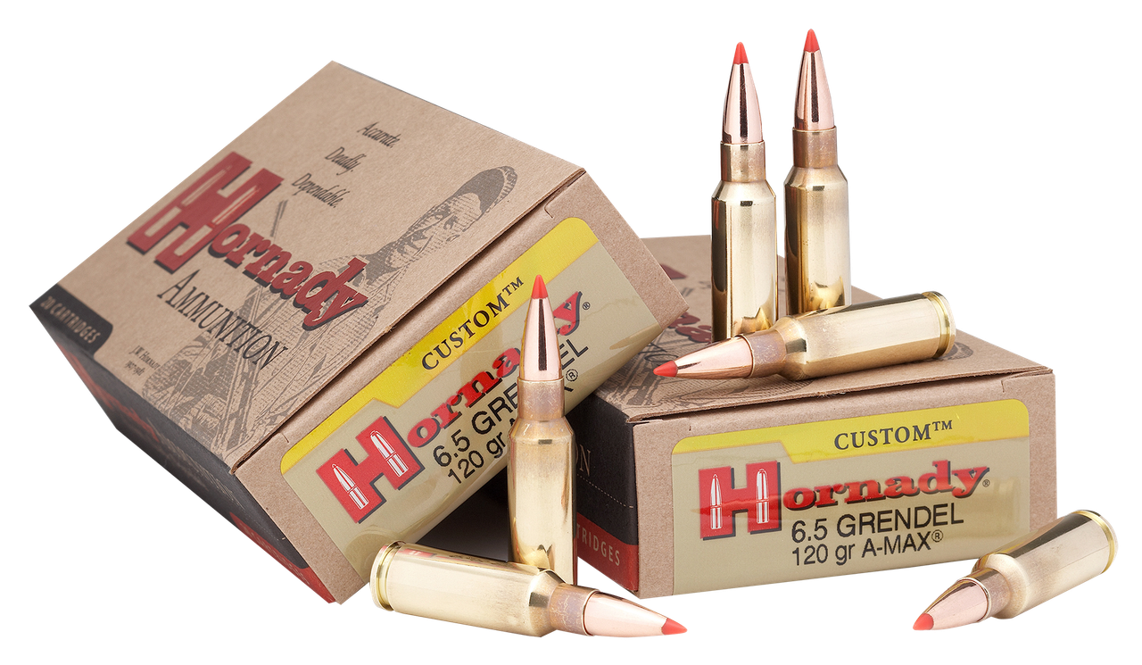 Vizards Guns and Ammo