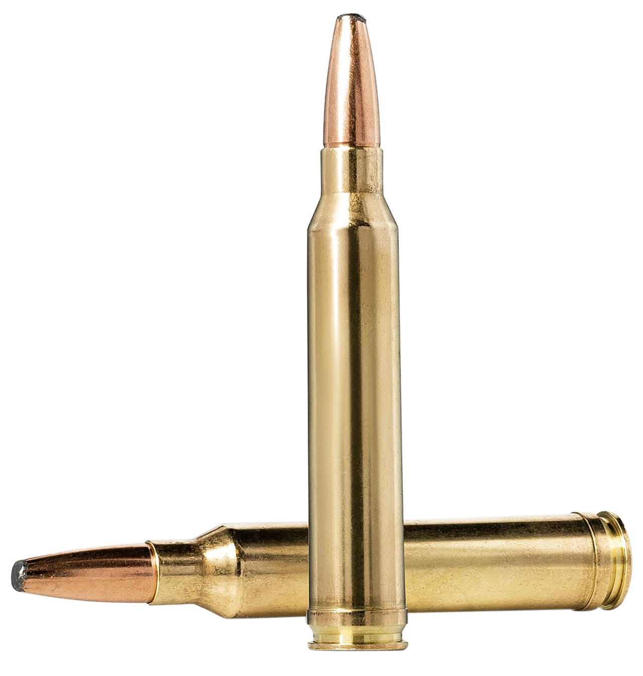 Vizards Guns and Ammo