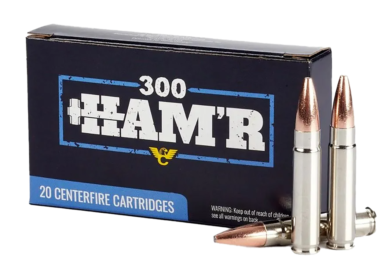 Vizards Guns and Ammo