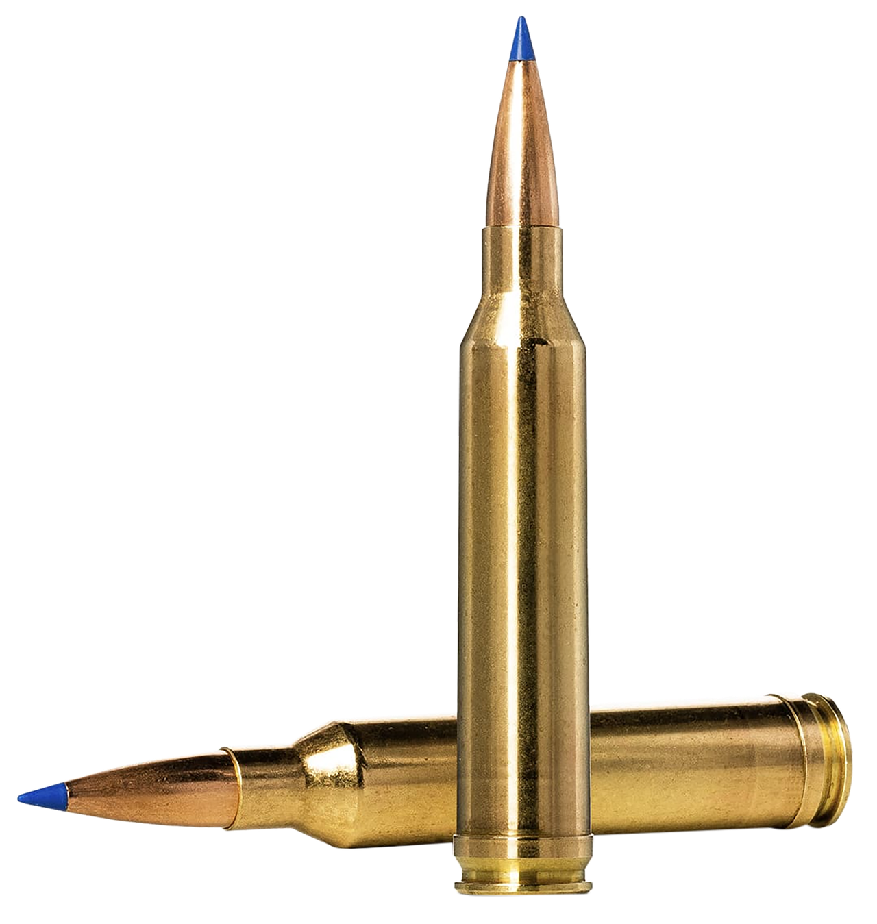 Vizards Guns and Ammo