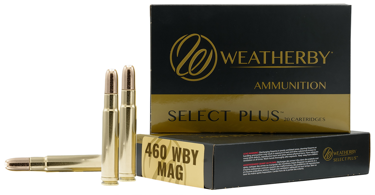 Vizards Guns and Ammo