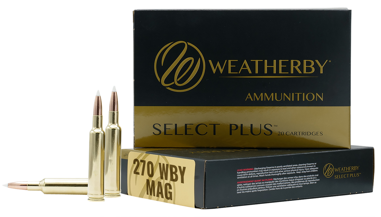 Vizards Guns and Ammo