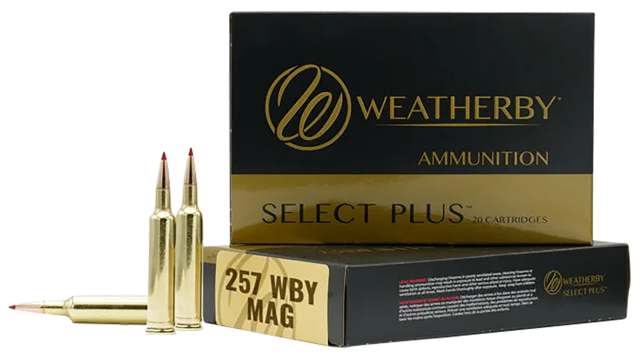 Vizards Guns and Ammo