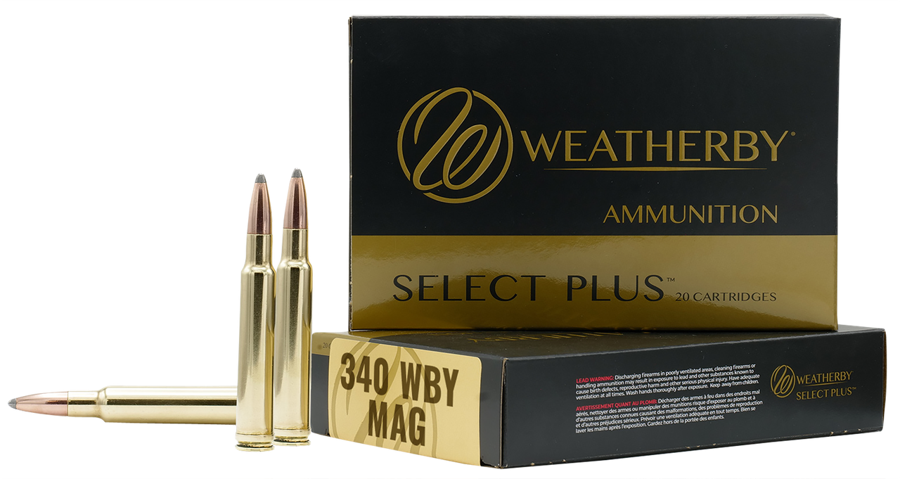 Vizards Guns and Ammo