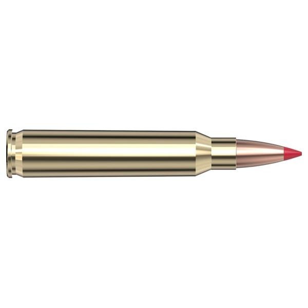 Vizards Guns and Ammo