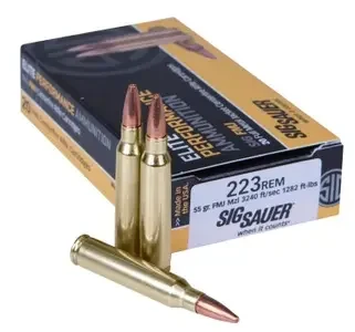 Vizards Guns and Ammo