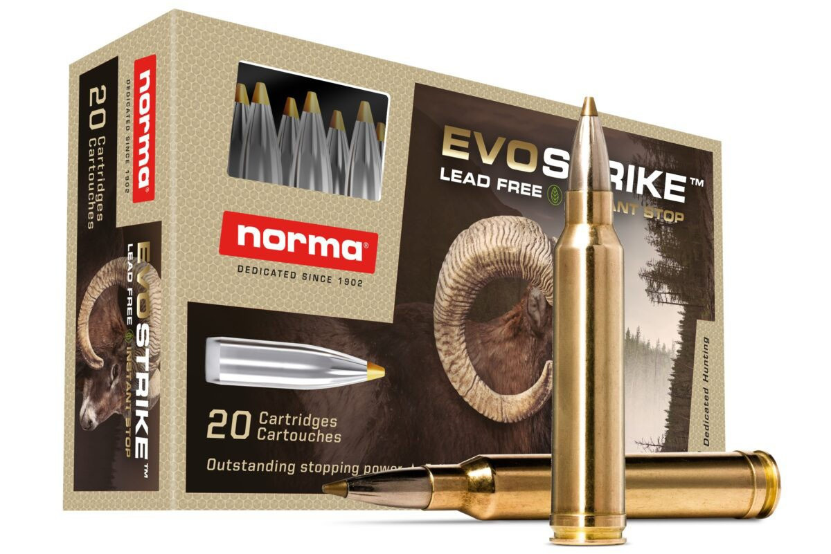 Norma .300 Winchester Magnum Ammo 139gr TFBT Ammunition - 20 Rounds