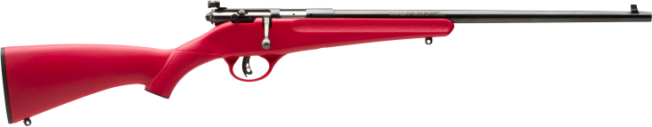 Vizards Guns and Ammo