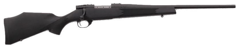 Vizards Guns and Ammo