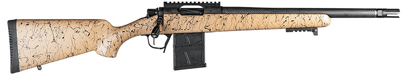 Vizards Guns and Ammo