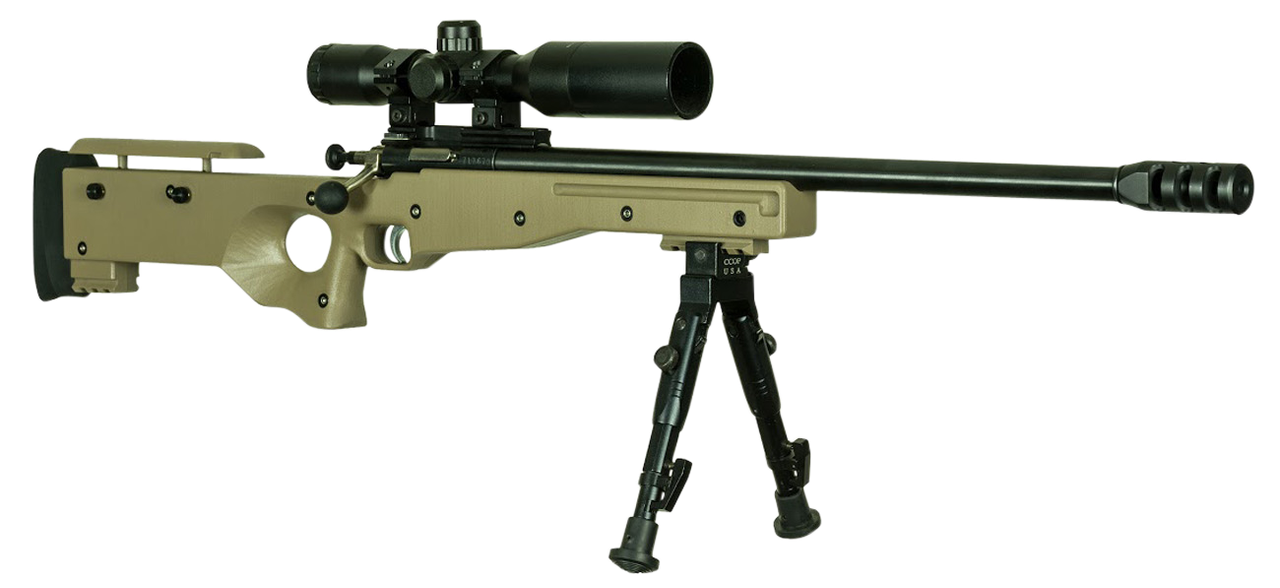 Vizards Guns and Ammo