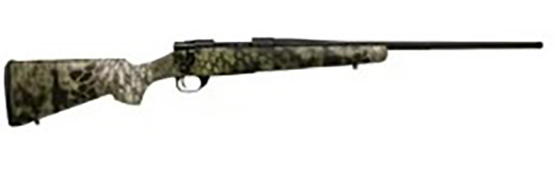 Vizards Guns and Ammo