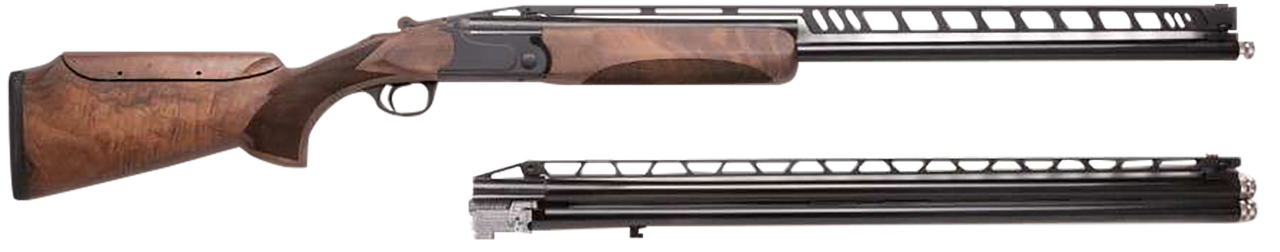 Vizards Guns and Ammo