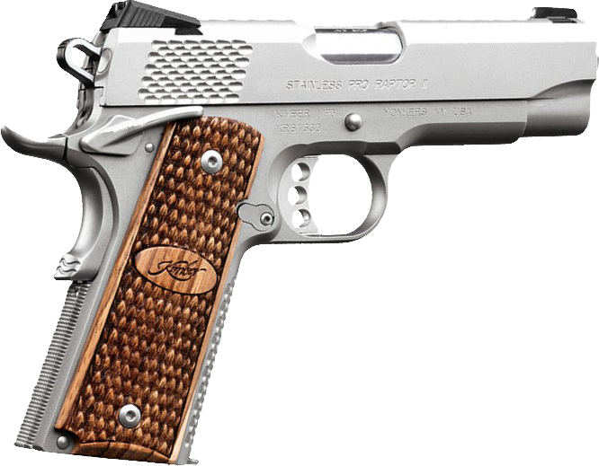 Vizards Guns and Ammo