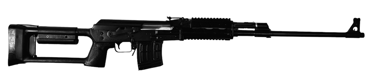Vizards Guns and Ammo