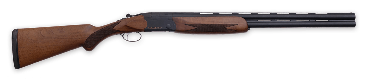 Vizards Guns and Ammo