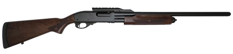 Vizards Guns and Ammo
