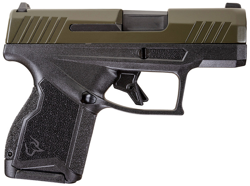 Vizards Guns and Ammo