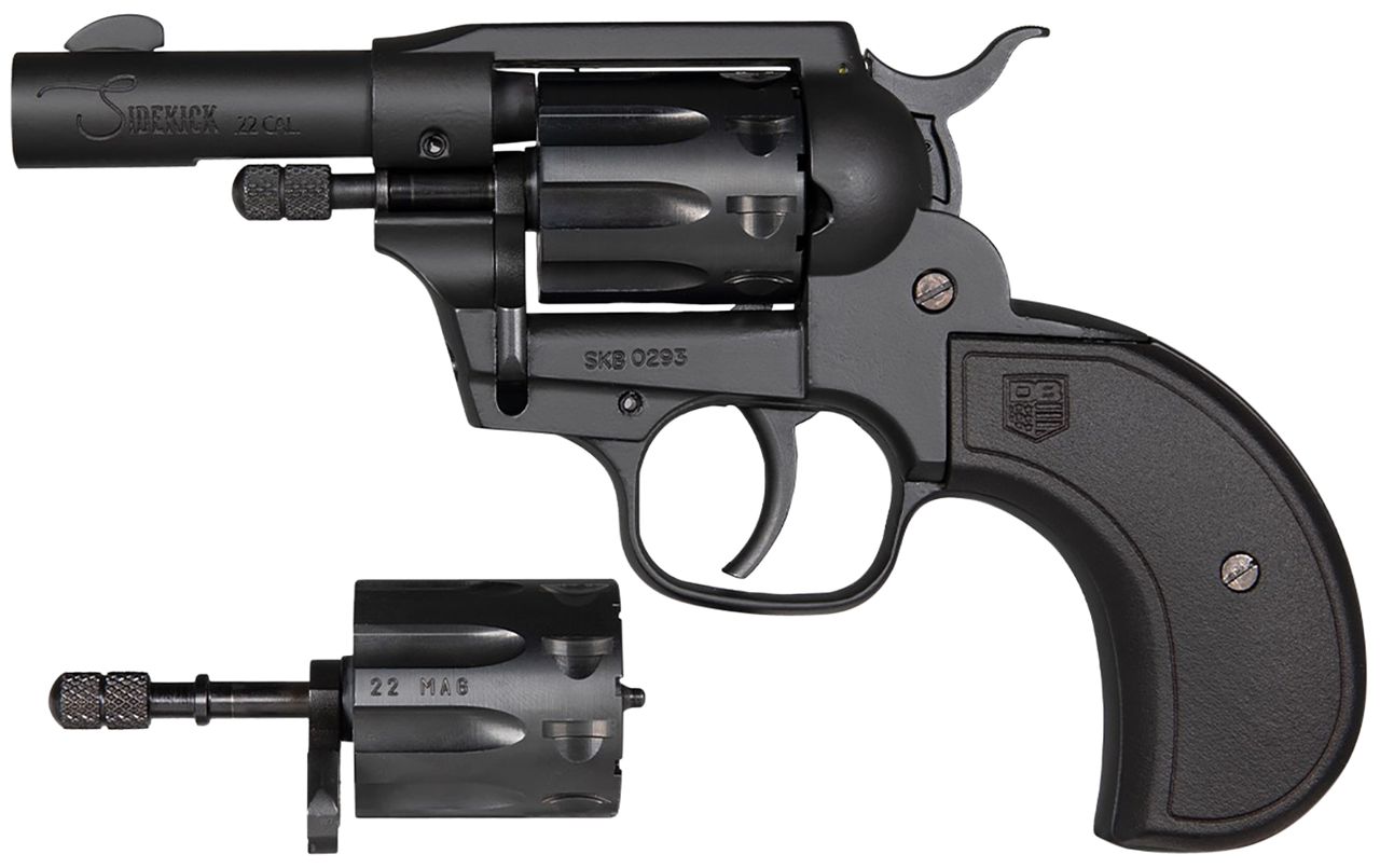Vizards Guns and Ammo