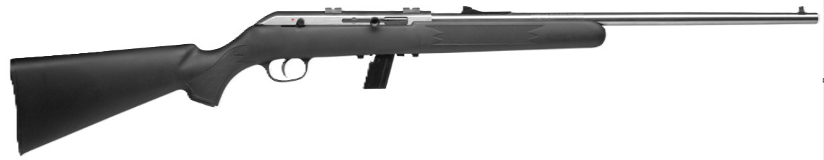 Vizards Guns and Ammo
