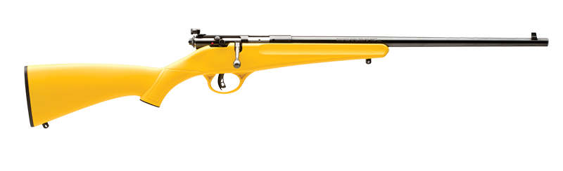 Vizards Guns and Ammo