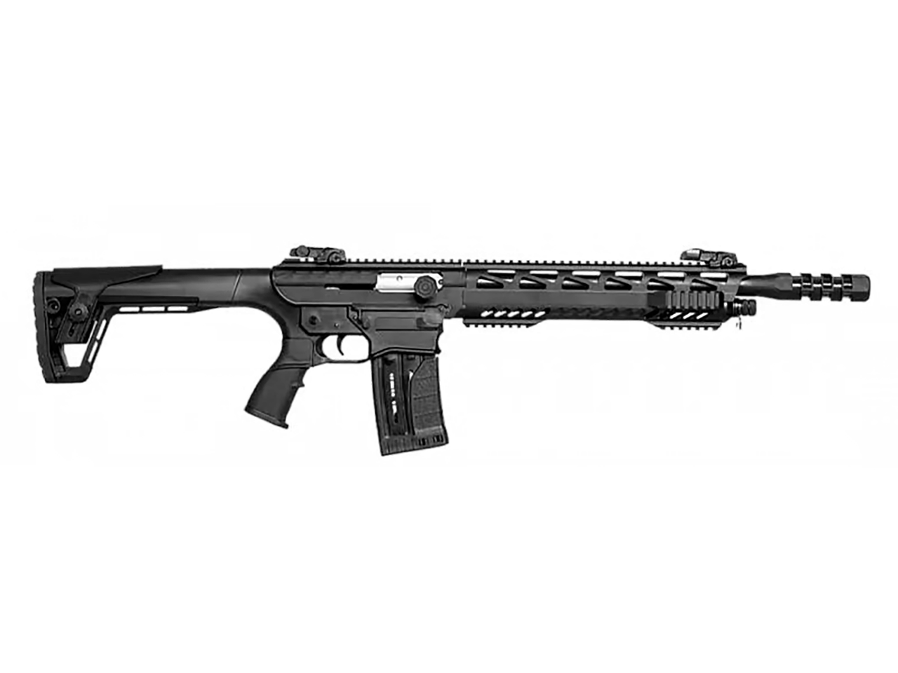Vizards Guns and Ammo