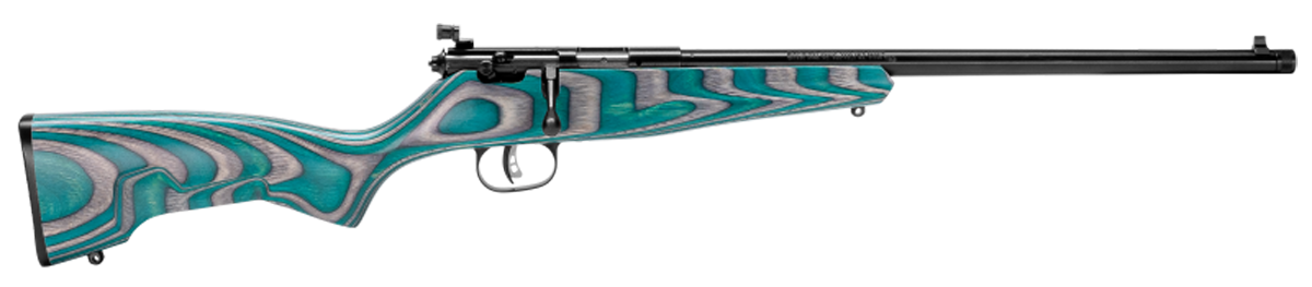 Vizards Guns and Ammo