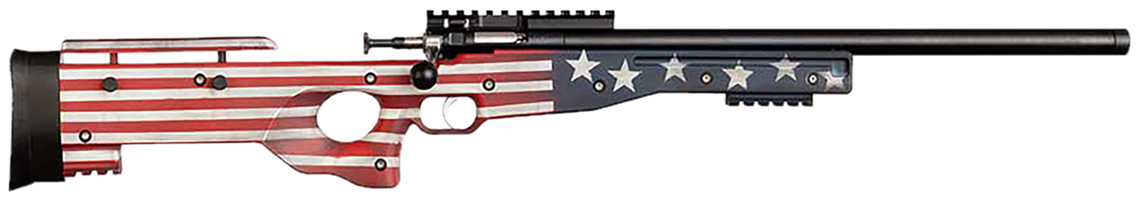 Vizards Guns and Ammo