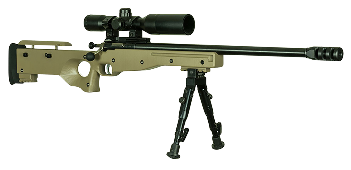 Vizards Guns and Ammo