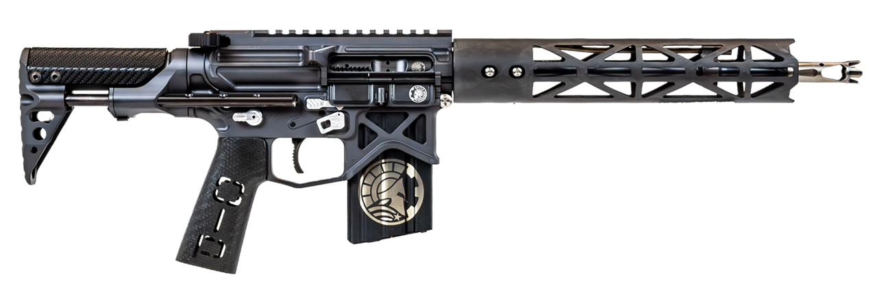 Vizards Guns and Ammo