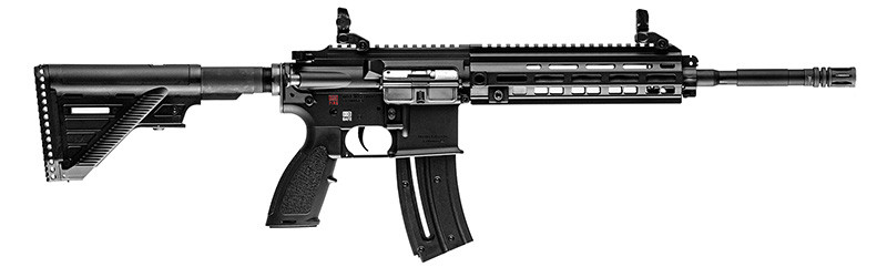 Vizards Guns and Ammo