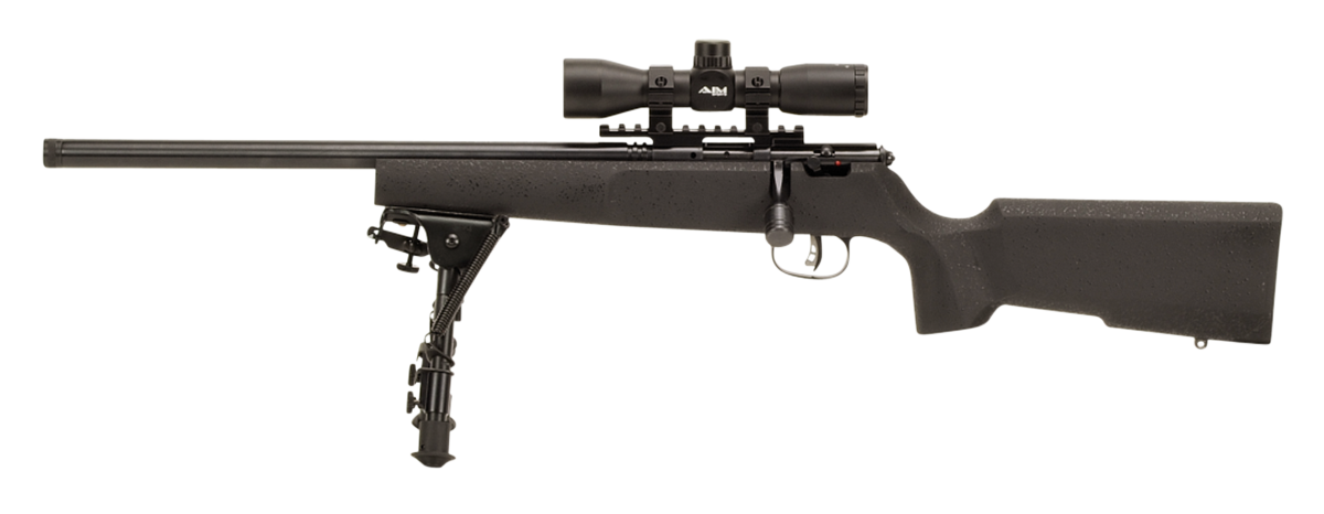 Vizards Guns and Ammo