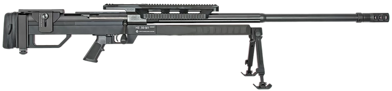 Vizards Guns and Ammo